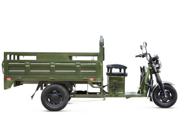 Трицикл электрический Rutrike D4 Next 1800 60V1500W (зеленый)
