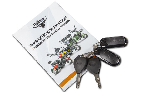 Трицикл электрический Rutrike Топик (синий)