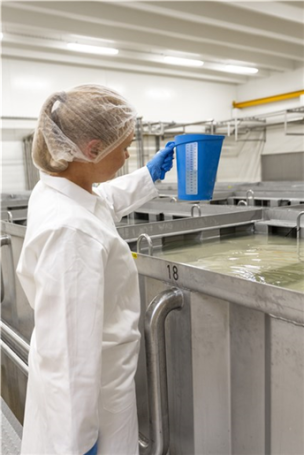 Мерный кувшин Vikan (2л, синий)