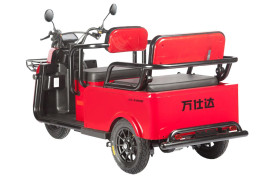 Трицикл электрический Wanshida LC-F200 60V 1000Вт (серый)
