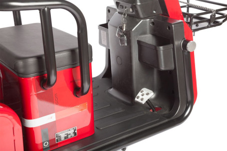 Трицикл электрический Wanshida LC-F200 60V 1000Вт (зеленый)