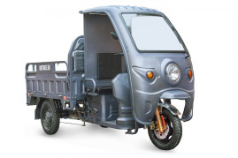 Трицикл электрический Rutrike Глобус 1500 60V/1000W (серый)