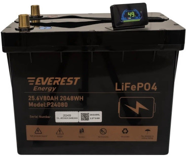 Тяговый аккумулятор Everest Energy LFP-2480 PRO (24В, 80Ач, LiFePO4)