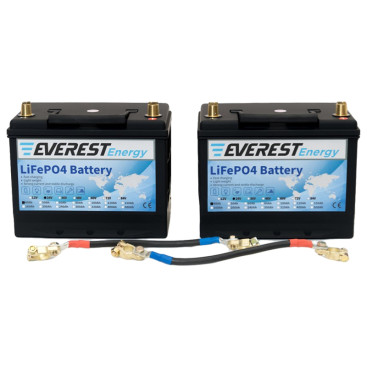 Тяговый аккумулятор Everest Energy (24В, 80Ач (40+40), LiFePO4)