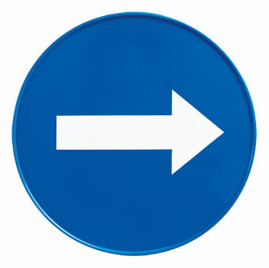 Табличка TTS Направление движения (23см, круглая, синий)