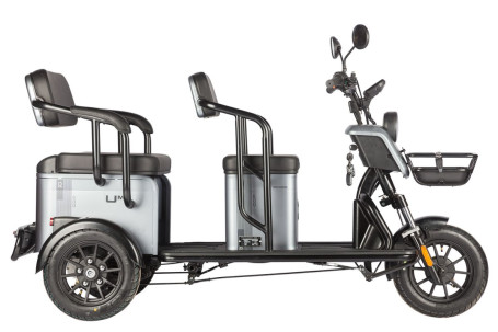 Трицикл электрический Wanshida UM+ 60V 1000Вт (зеленый)