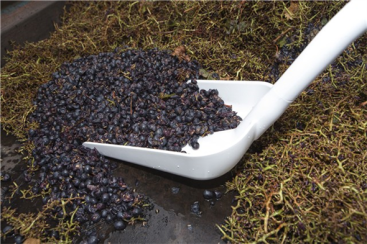 Лопата Vikan (1310мм, белый)