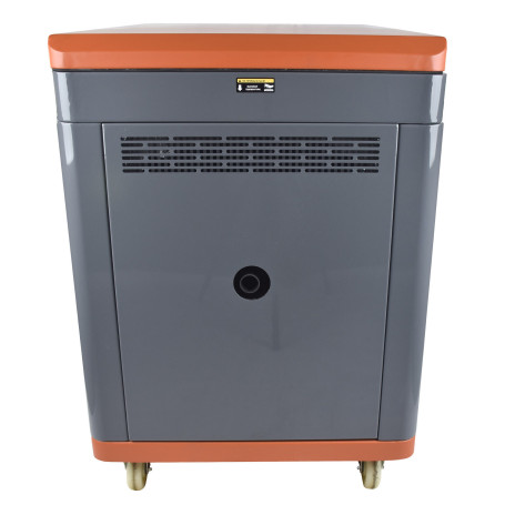 Генератор бензиновый EVOline QB 12003 E