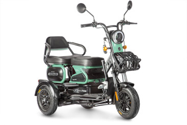 Трицикл электрический Wanshida HOT HATCH (60V, 650W, черно-зеленый)