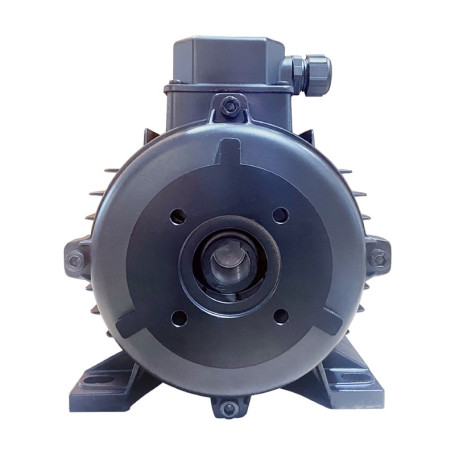 Электродвигатель Melegari Luigi (2.6кВт, 220В, 1450об/мин, п.в. 24мм, Dфл 75мм, H100)