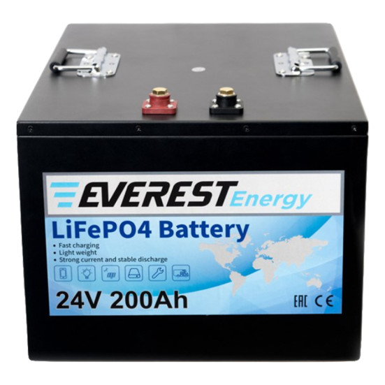 Тяговый аккумулятор Everest Energy (24В, 204Ач, LiFePO4)