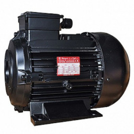 Электродвигатель Melegari Luigi (4кВт, 380В, 1450об/мин, п.в. 24мм, Dфл 75мм, H100)