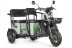 Трицикл электрический Wanshida LC300 (60V, 1000W, зеленый) (0000310-3076)