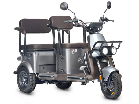 Трицикл электрический Wanshida U1-X 60V 800Вт (коричневый)