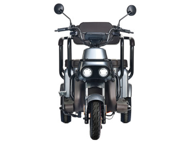 Трицикл электрический Wanshida U1-X 60V 800Вт (коричневый)