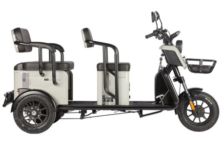Трицикл электрический Wanshida LC300 60V 1000Вт (серый)