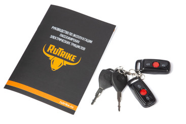 Трицикл электрический Rutrike Бумеранг (черный)