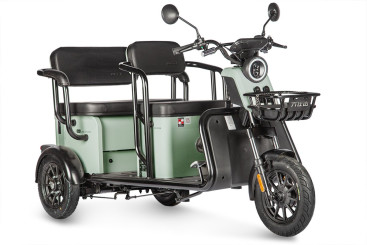 Трицикл электрический Wanshida LC300 60V 1000Вт (зеленый)