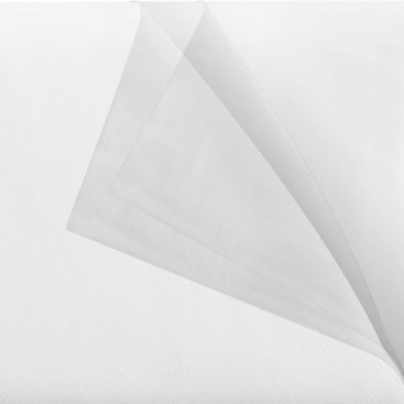 Салфетка антистатическая TTS (30х60см, полипропилен, 20упх50шт)