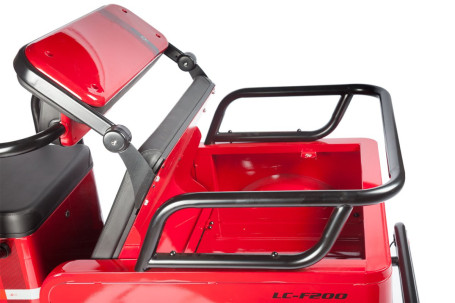 Трицикл электрический Wanshida LC-F200 (60V, 1000W, красный) (0000320-3083)