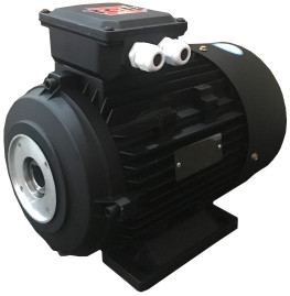 Электродвигатель TOR 14950 (15кВт, 380В, 1450об/мин, п.в. 24мм, Dфл 87мм, H160)
