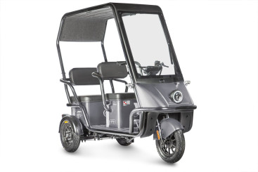 Трицикл электрический Wanshida NIPLA 500 (60V, 1000W, черно-серый)