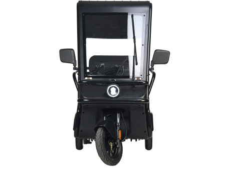 Трицикл электрический Wanshida NIPLA 570 60V 1000Вт (красный)