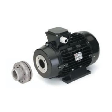Электродвигатель Nicolini (18.5кВт, 380В, 1450об/мин, п.в.24мм, H160, с муфтой)