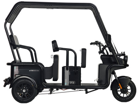 Трицикл электрический Wanshida NIPLA 570 60V 1000Вт (зеленый)