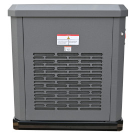 Генератор газовый EVOline GNG 13500 E