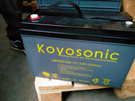 Тяговый аккумулятор Koyosonic NPMG240-6 (6В, 240А/ч)