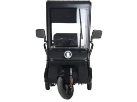 Трицикл электрический Wanshida NIPLA 570 (60V, 1000W, красный)