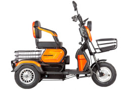 Трицикл электрический Rutrike Бумеранг (золотистый)