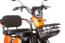 Трицикл электрический Rutrike Бумеранг (золотистый) (022656-3243)