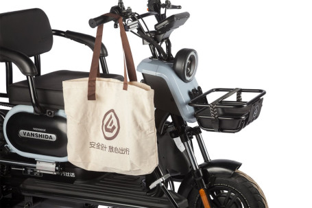 Трицикл электрический Wanshida UN MOTO 60V 650Вт (черный)