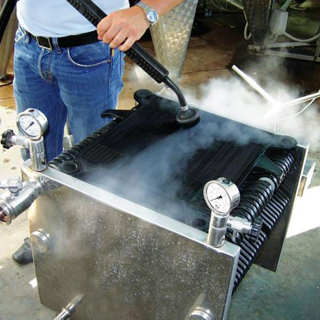 Парогенератор MENIKINI STEAM MASTER 10 SH