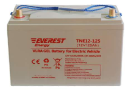 Тяговый аккумулятор Everest Energy TNE12-125 (106Ач, 12В, Gel)